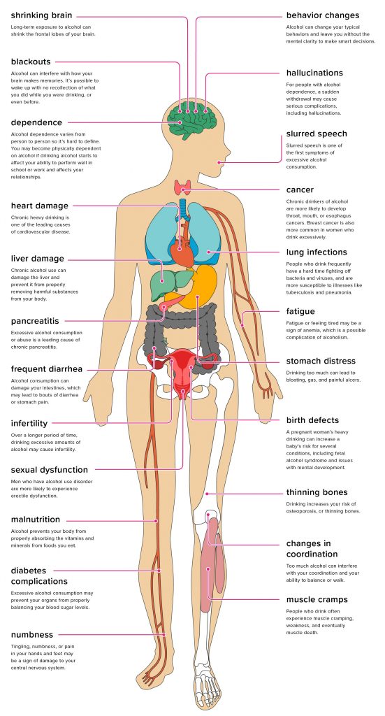 Effects of Alcohol on the Body