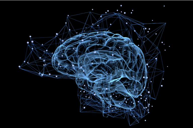 Effects of Alcohol on the Teenage Brain