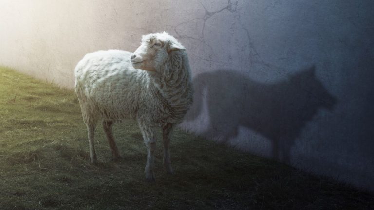 Fentapills: Lethal Pills in Disguise Like a wolf in sheep's clothing, fentapills are disguised as something familiar, but are potentially lethal