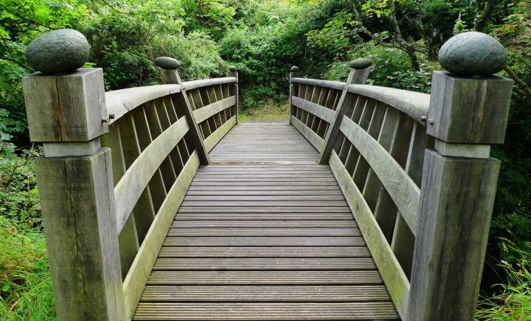 Recovery Tips from Lived Experience A bridge in nature, demonstrating links to recovery.